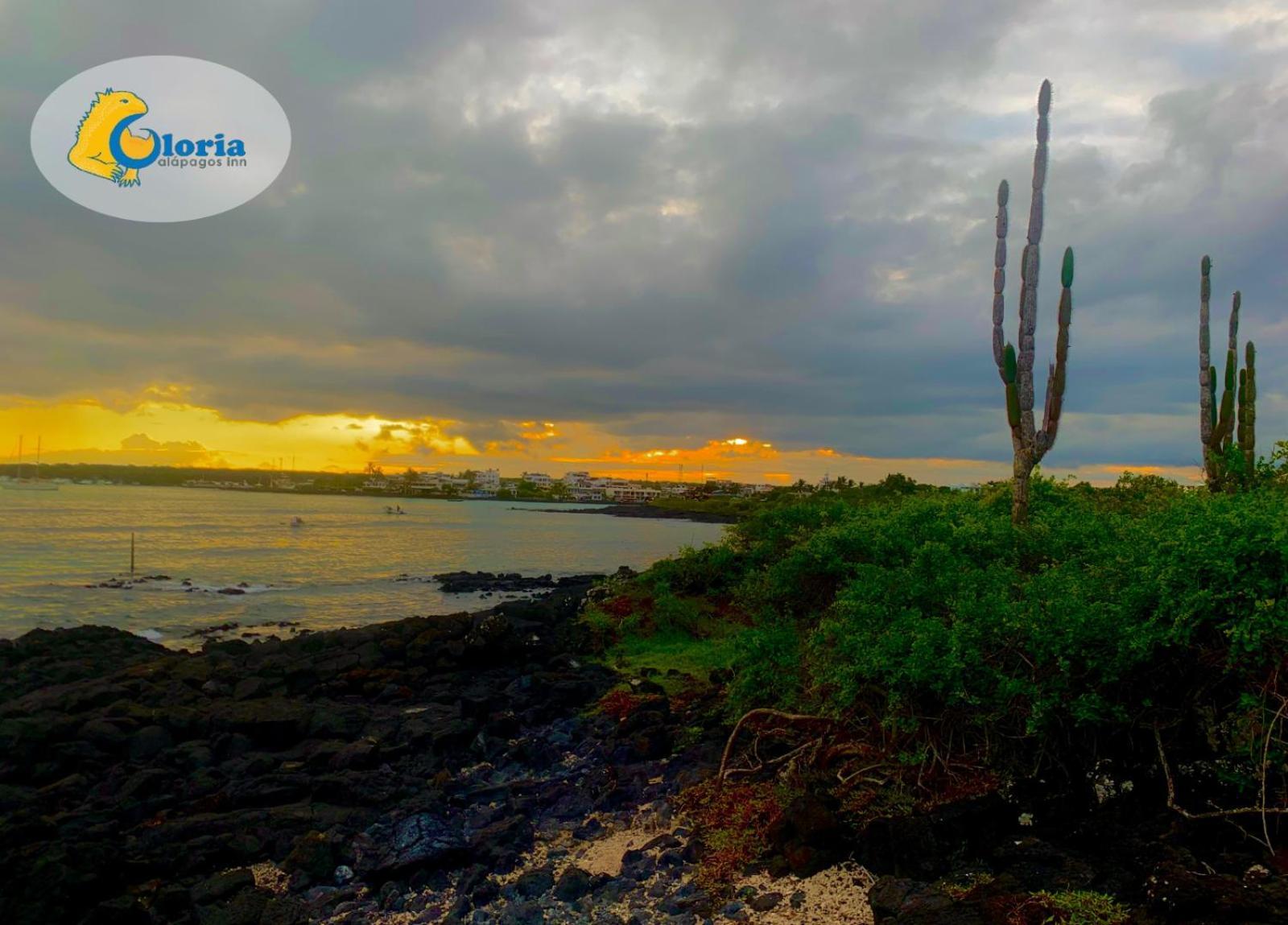 Gloria - Galápagos Inn Puerto Ayora  Kültér fotó